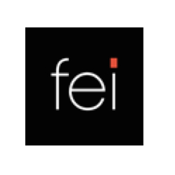 FEI_Logo